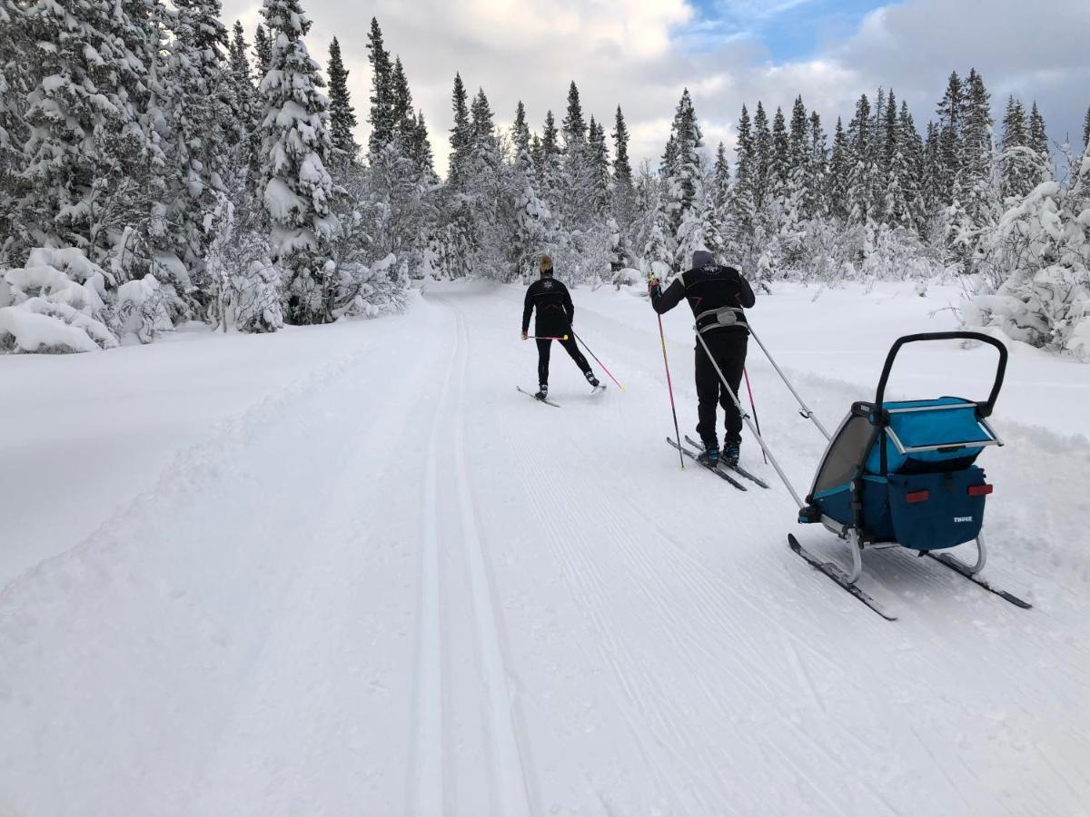 Karolinen Stugor & Laegenheter Åre Eksteriør bilde